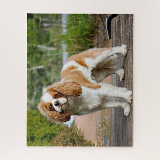 Puzzle Blenheim Cavalier King Charles Spaniel Chien Chien (Vertical)