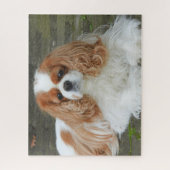 Puzzle Blenheim Cavalier King Charles Spaniel Chien Chien (Vertical)