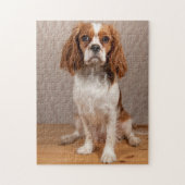 Puzzle Blenheim Cavalier King Charles Spaniel Chien Chien (Vertical)