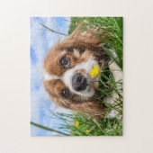 Puzzle Blenheim Cavalier King Charles Spaniel Puppy Dog (Vertical)