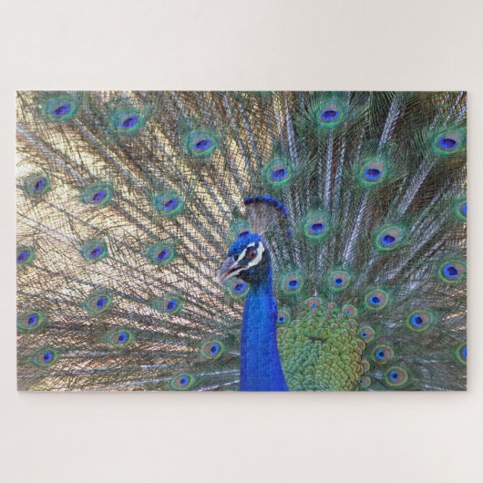 Puzzle Bleu Beauty Peacock (Horizontal)