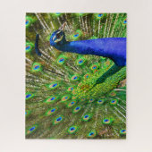 Puzzle bleu brillant Peacock Jigsaw (Vertical)