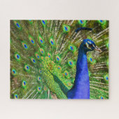 Puzzle bleu brillant Peacock Jigsaw (Horizontal)
