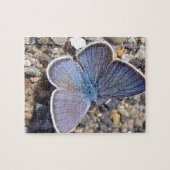 Puzzle bleu clair papillon (Horizontal)