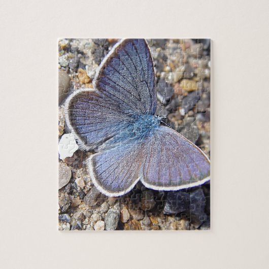 Puzzle bleu clair papillon (Vertical)