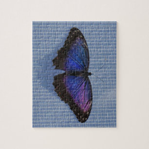 Puzzle bleu de papillon de Morpho