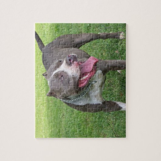 PUZZLE BLEU DE PITBULL (Vertical)