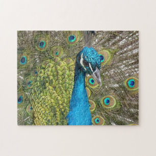 Puzzle bleu Peacock