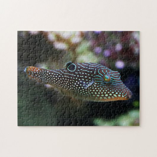 Puzzle Bleu Poteté Potté Canthigaster Solandri (Horizontal)