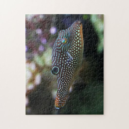 Puzzle Bleu Poteté Potté Canthigaster Solandri (Vertical)