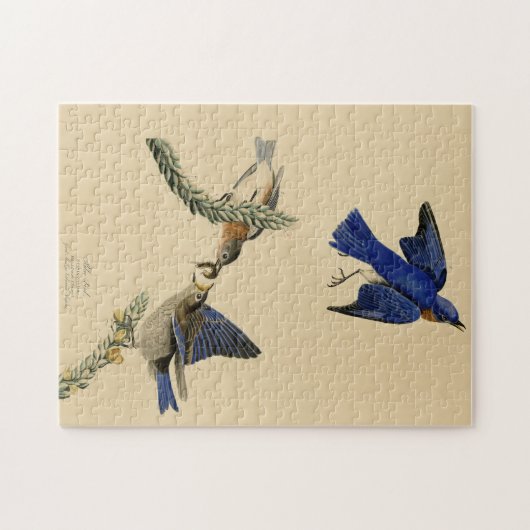 Puzzle Bleu rouge de l'est des oiseaux d'Amérique d'Audub (Horizontal)