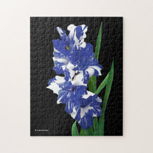 Puzzle Bleu Royal et Blanc Gladiolus Lys d'épée