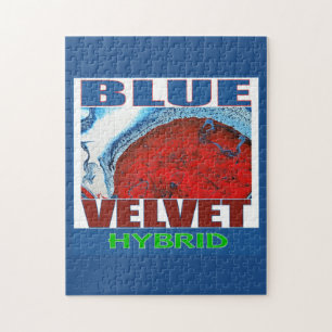 PUZZLE BLEU VELVET HYBRID