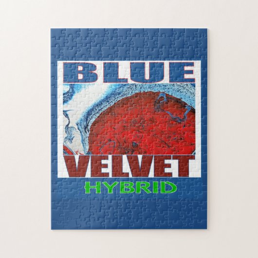 PUZZLE BLEU VELVET HYBRID (Vertical)