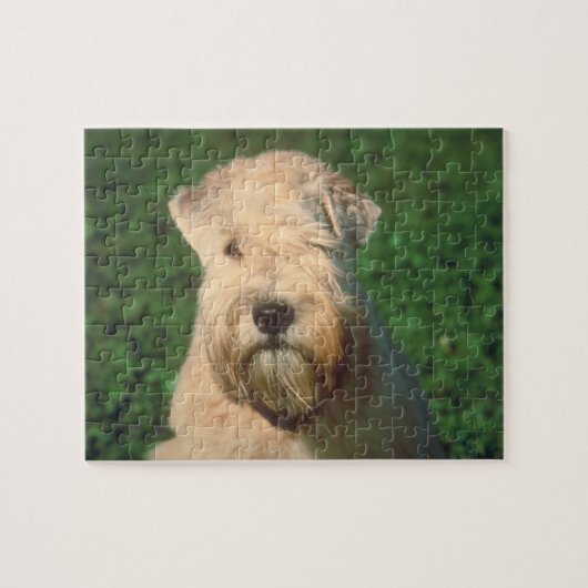Puzzle blond comme les blés doucement enduit de (Horizontal)