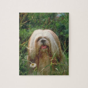 Puzzle blond de chien de Lhasa Apso