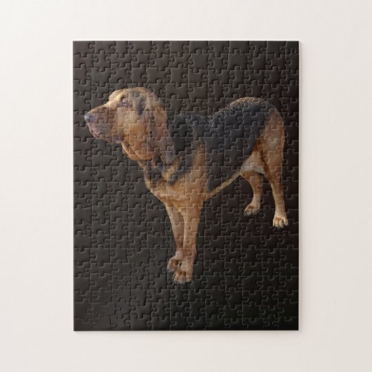 Puzzle Bloodhound (Vertical)