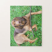 Puzzle Bloodhound avec bâton (Vertical)