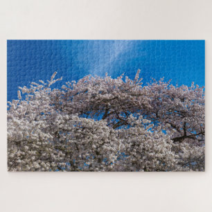 Puzzle Blossom des cerisiers du printemps