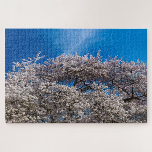 Puzzle Blossom des cerisiers du printemps (Horizontal)