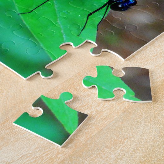Puzzle Blue Damselfly on a green leaf. (Côté)