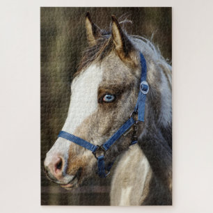 Puzzle Blue Eyed Fol