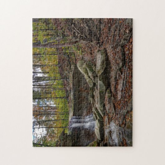 Puzzle Blue Hen Falls (Vertical)