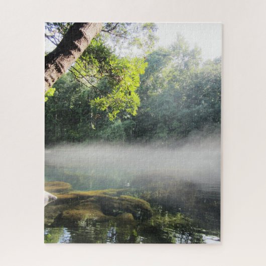 Puzzle Blue Hole Springs Floride Foggy Matin (Vertical)