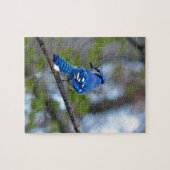 Puzzle Blue Jay (Horizontal)