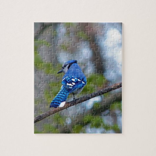 Puzzle Blue Jay (Vertical)