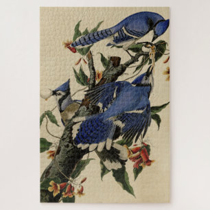 Puzzle Blue Jay - Les oiseaux d'Amérique de John James Au