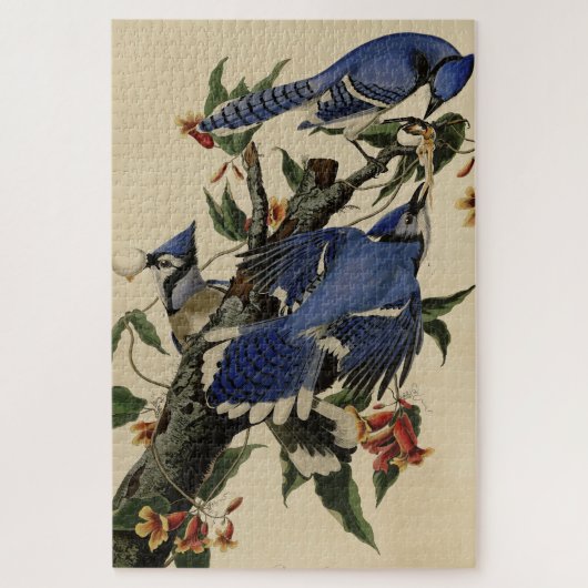 Puzzle Blue Jay - Les oiseaux d'Amérique de John James Au (Vertical)