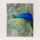 Puzzle Blue Peacock Fantail Feathails Photo (Vertical)