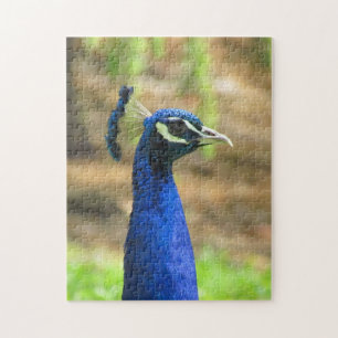 Puzzle - Blue Peacock Head Legpuzzel