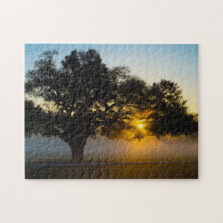 Puzzle Blue Peter Tree Sunrise