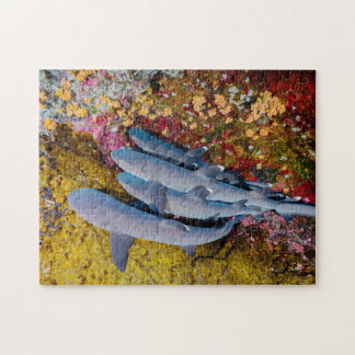 Puzzle Blue Sharks Family Group Chasse Dans Sea Water Ree