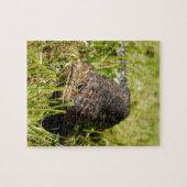 Puzzle Blue Tongue Lizard Creeping (Horizontal)