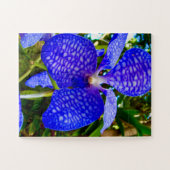 Puzzle Blue Veins | Vanda Orchid for Alzheimer’s Awarenes (Horizontal)