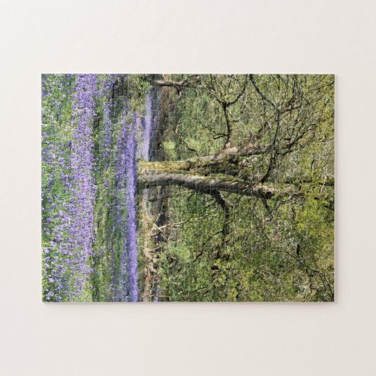 Puzzle Bluebell (Horizontal)