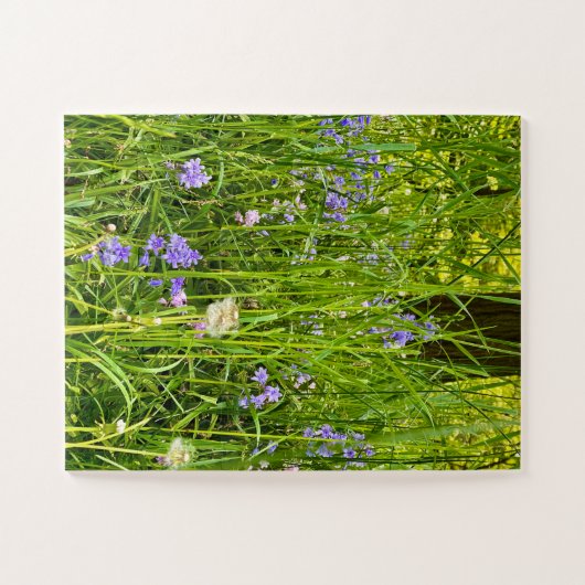 Puzzle Bluebells & Dandelions in Wild Spring Grass (Horizontal)