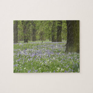 Puzzle Bluebells et chênes au printemps, Little Hagley