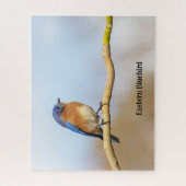 Puzzle Bluebird (Vertical)