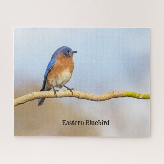 Puzzle Bluebird (Horizontal)
