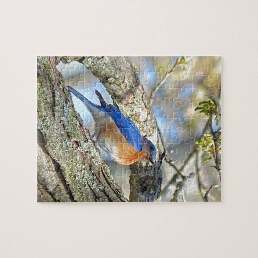 Puzzle Bluebird (Horizontal)