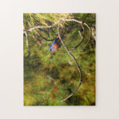 Puzzle Bluebird (Vertical)