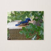 Puzzle Bluebird à la maison (Horizontal)