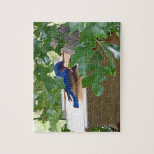 Puzzle Bluebird à la maison
