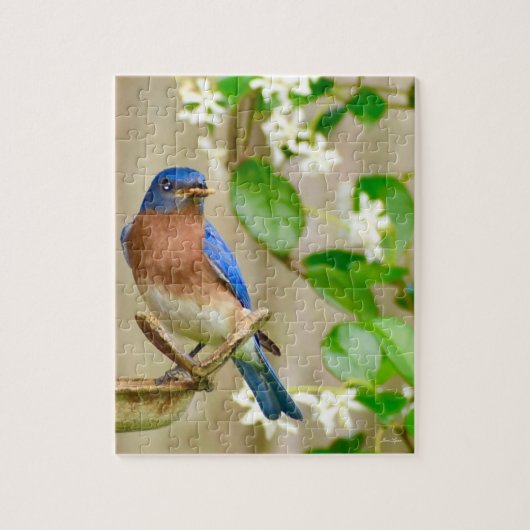 Puzzle Bluebird "L'oiseau précoce obtient le ver" (Vertical)