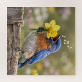 Puzzle Bluebird Singing Into a Yellow Daffodil (Horizontal)