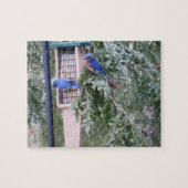 Puzzle Bluebirds d'hiver (Horizontal)